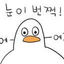 신대방동물메디컬 이미지