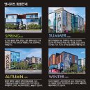 커낼워크 봄동 이미지