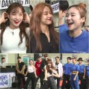 하이코치 이미지