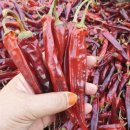 사과랑 고추랑 이미지