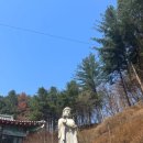 청룡사 | 청평역 근처 작은 사찰 가평 청룡사 후기