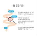 인셀덤매일행복점 | "화장실 앞에서 좌절금지!" 딥톡 플러스로 변비 탈출하고 정력까지? 남녀노소 인생 최애템 등극!