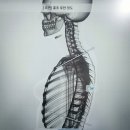 체형관리 - 달성군 현풍중앙로 38-4 | 체형관리