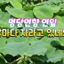 연향농장 이미지