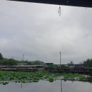 양석낚시터 네이버블로그
