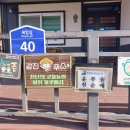 비취 블루베리 이미지