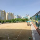 성당초교 이미지