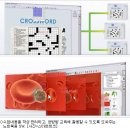 학습능률향상협회