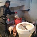 신진2농장 이미지