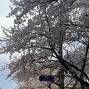 세븐일레븐 당인동점 이미지