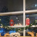 디어마이퍼피 이미지