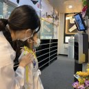 오룡한국태권도장 이미지