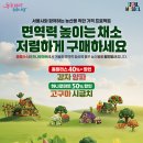 채소 반값에 사세요! 올해 마지막 착한가격 프로젝트 이미지