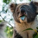 gc-camera-020 이미지