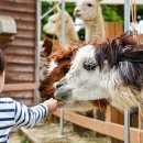 소격리농장 이미지