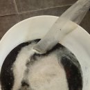 넘버원크린 이미지