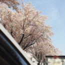 보금신토불이 | 현지인이 추천하는 대구 율하동 맛집 모음