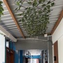 Sol Guest House