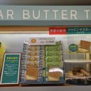 슈가트리(sugar tree) | 일본 여행 선물 추천. 슈거 버터 트리(SUGAR BUTTER TREE) 솔직 후기