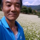 법흥2리 이미지