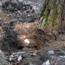 바이오벨리1로L 이미지