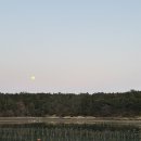 화양원조굴구이횟집 | 여수 여행 진짜 현지 맛집 화양원조굴구이 본점 솔직 후기