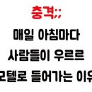 와이모텔 이미지