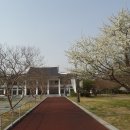 국립광주박물관 Daum카페
