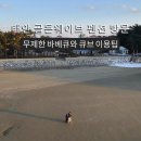 골든펜션 | 태안 골든웨이브 펜션 방문 후기 무제한 바베큐와 개별 큐브 이용 팁