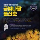 산호 이미지