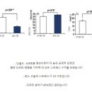 계절성 우울증에 단월드 뇌파진동 명상이 도움 이미지