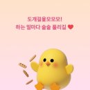 라니아트