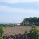 소소행성 이미지