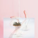 식향 - 춘천시 | 식향
