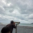 엔제리너스 해운대 마린시티점 | 해운대 오션뷰 카페 광안대교 잘보이는 엔젤리너스 해운대마린시티