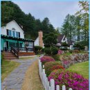 대명노르웨이숲 이미지