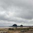 어울림 | [충남 태안] 꽃지해수욕장 전국어울림 마라톤 대회 5km 참가 후기