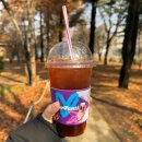 더벤티 | 가성비 갑! 디카페인 커피 추천, 더벤티 디카페인 아메리카노｜내돈내산 후기