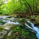 곡성-199 이미지