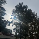 씨스페이스 구미야은로점 | 1박2일 구미 가을 여행 싹싹 낋여왔읍니다.[금오랜드|구미 소품샵 거리|오마카세 스시본]