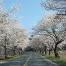 주산주유소 이미지