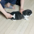 그루밍데이 이미지