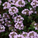 금창초교 이미지