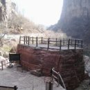 개나리꽃민박 이미지