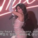 박가부대찌개 이미지