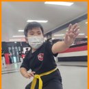 다부진 합기도 이미지