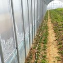 영농조합법인 참농 이미지