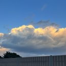 을전56오토캠핑장 | [공지] 단양) 을전56 오토 캠핑장 12월 혹한기 리얼 후기