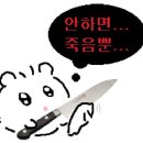 수민카써비스 | 시간은 우릴 가끔 속이곤 해서