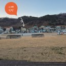 영덕 일출 민박 이미지